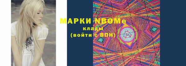 индика Алексин