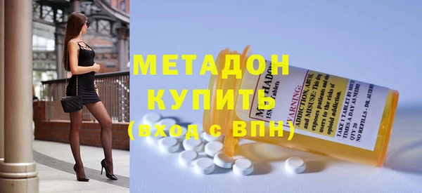 индика Алексин
