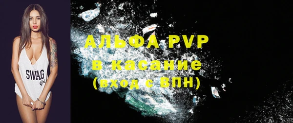 индика Алексин