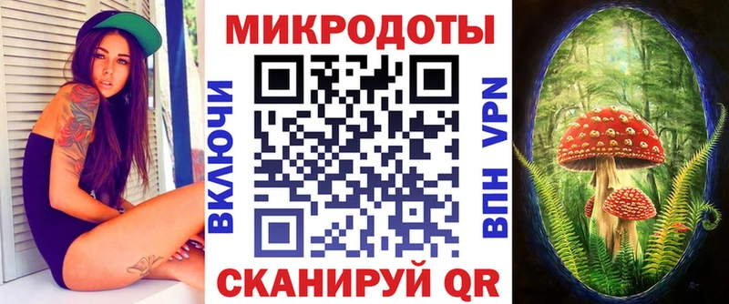 закладка  Калач-на-Дону  Псилоцибиновые грибы Psilocybe 