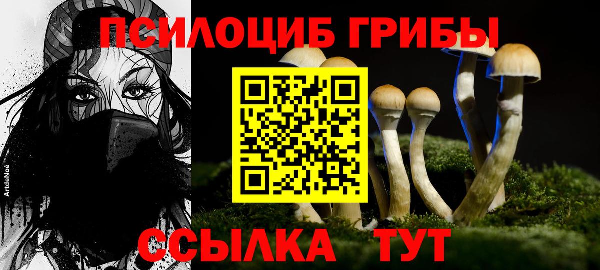 Псилоцибиновые грибы прущие грибы  Галлюциногенные грибы мухоморы  дарнет шоп  Калач-на-Дону  Вход с VPN 