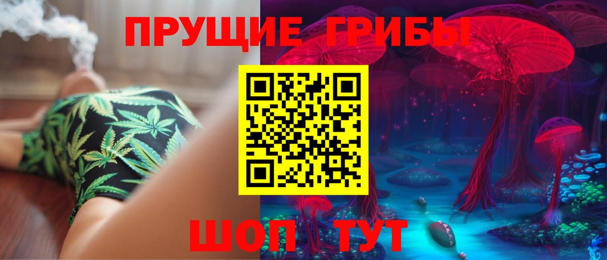 Псилоцибиновые грибы Psilocybine cubensis Калач-на-Дону